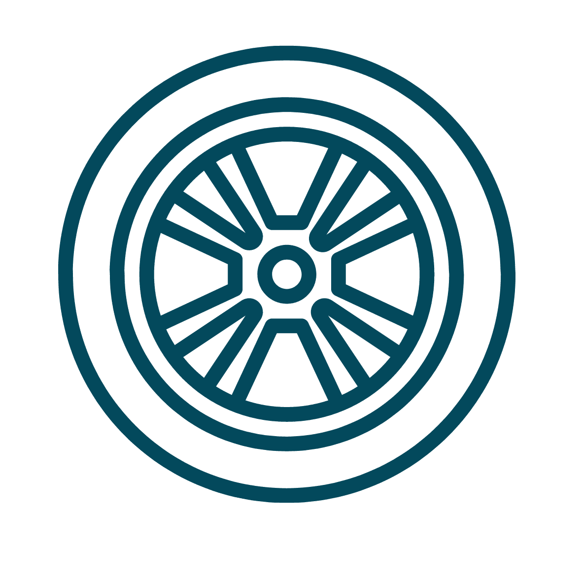 Protección para neumáticos